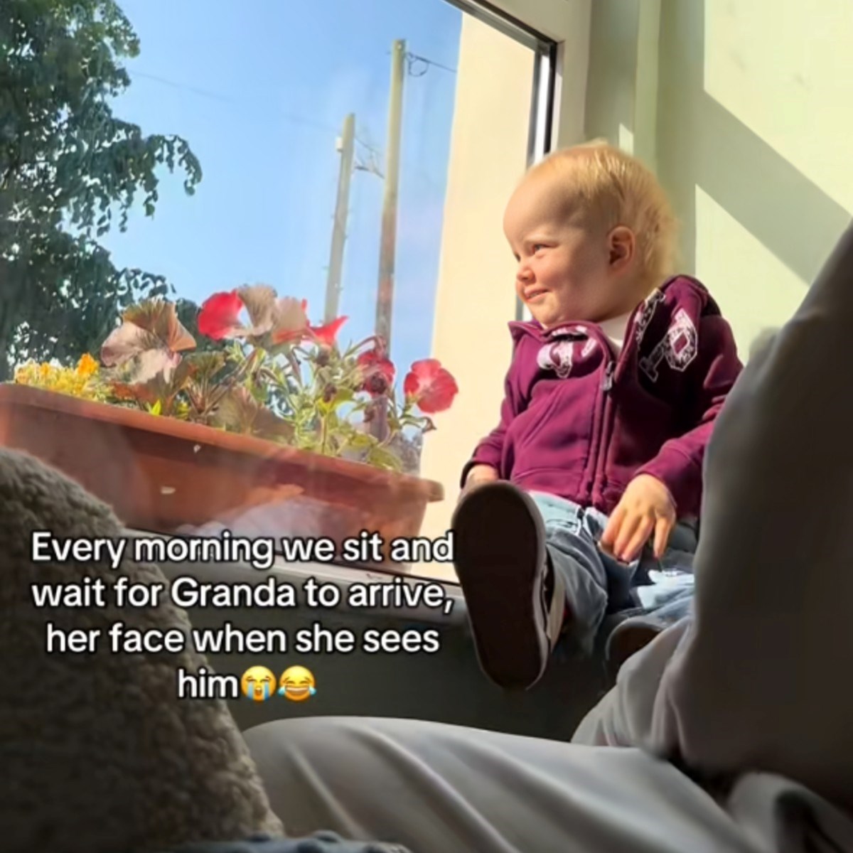 Uzbuđenje djevojčice kada kroz prozor ugleda djeda izmamit će vam osmijeh na lice